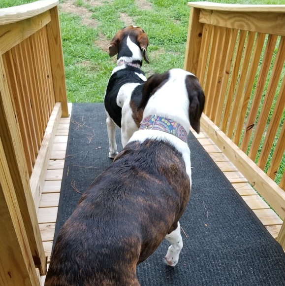 Meet your Posher, Angela (Plottie & Weezie too) - Picture 8 of 14